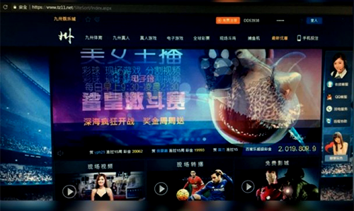 以美女主播吸引赌客 台湾再破娱乐网站